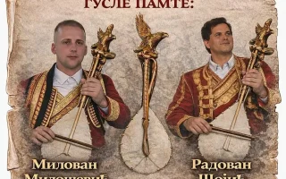 Guslarsko druzenje Valdanjo